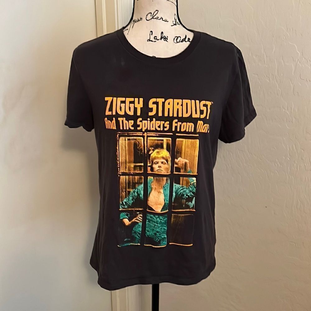 Ziggy Stardust And The Spiders From Mars Gray Graphic T-Shirt Music Concert